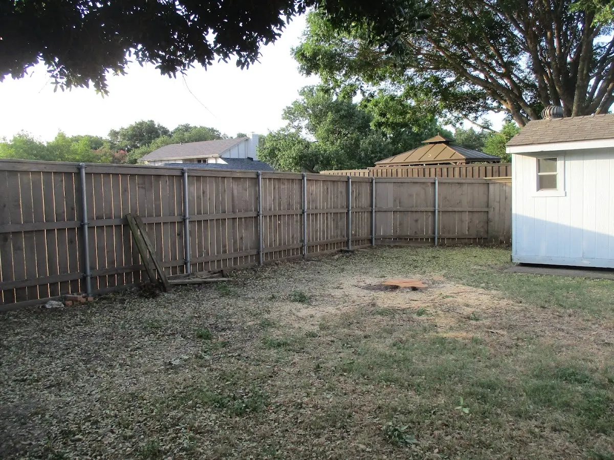 Cleared yard after professional tree removal in Spring Grove